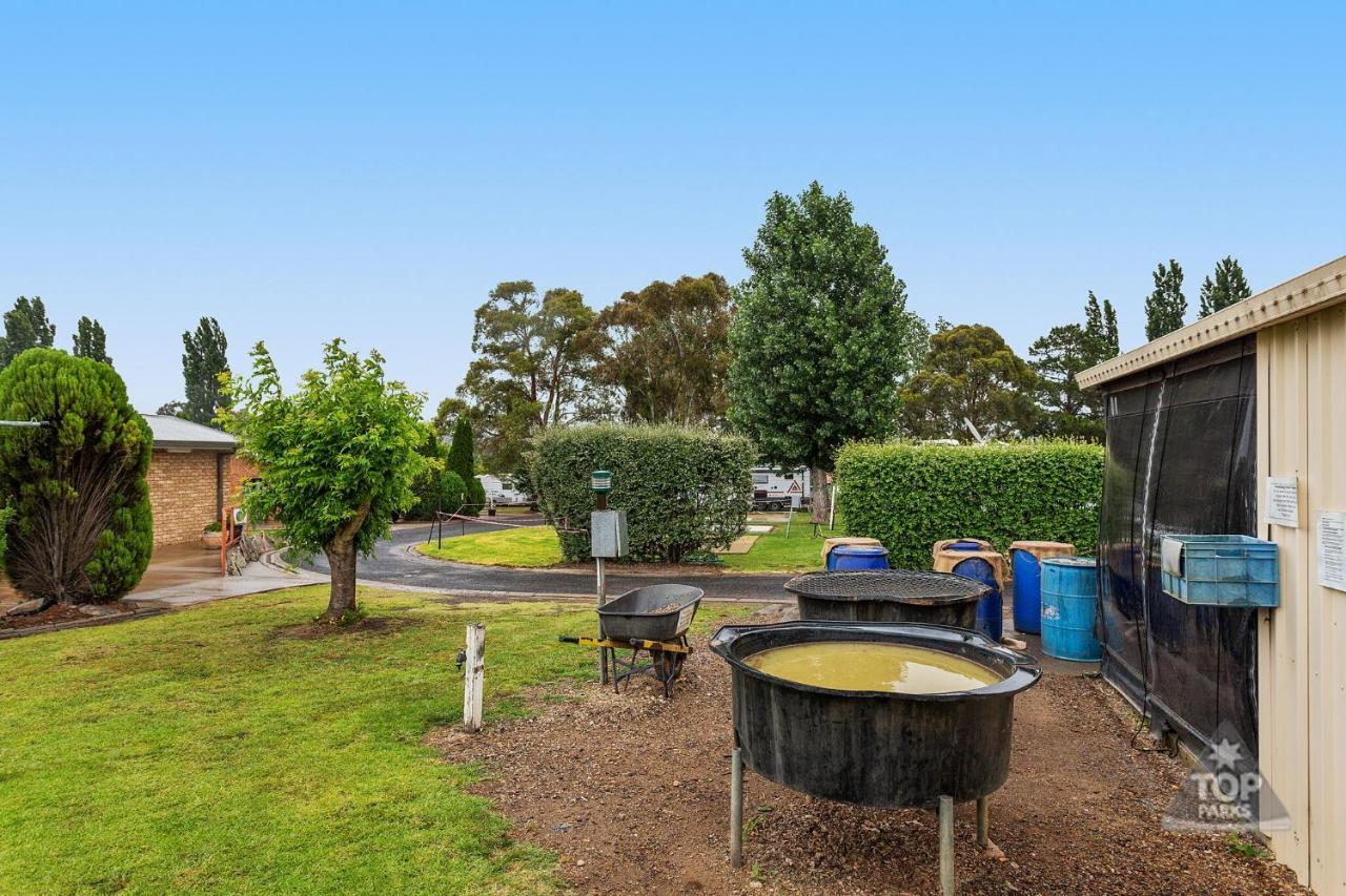 Fossicker Caravan Park Glen Innes Zewnętrze zdjęcie